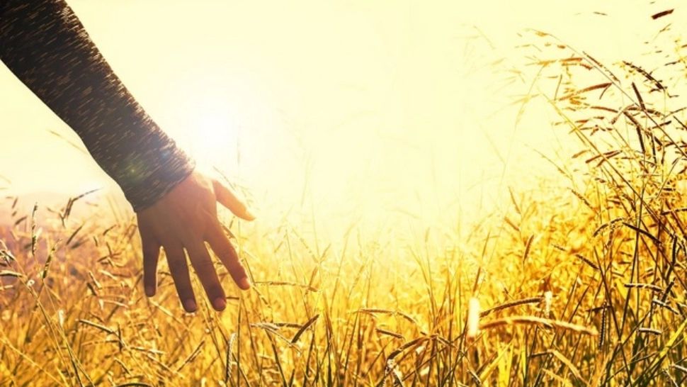 Schimbări radicale de vreme: fenomene EXTREME - vijelii urmate de caniculă sufocantă