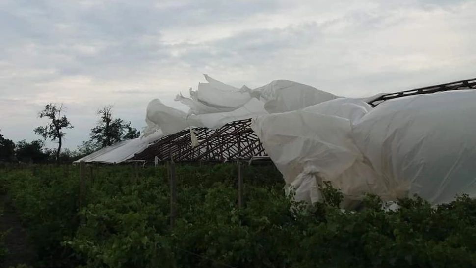 Zeci de solarii, distruse de furtună. Fermierii sunt disperați - FOTO&VIDEO