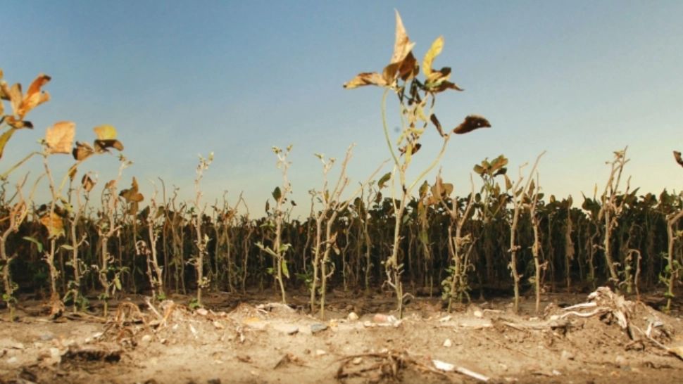 Avertismentul meteorologilor: Risc major în România - Lacurile se transformă în dune de nisip. Ce spune șefa ANM