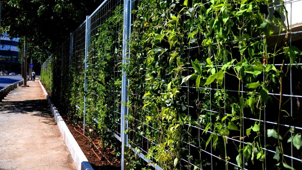 Proiect inedit în Sectorul 4! Soluție pe verticală pentru a crește suprafața de spații verzi