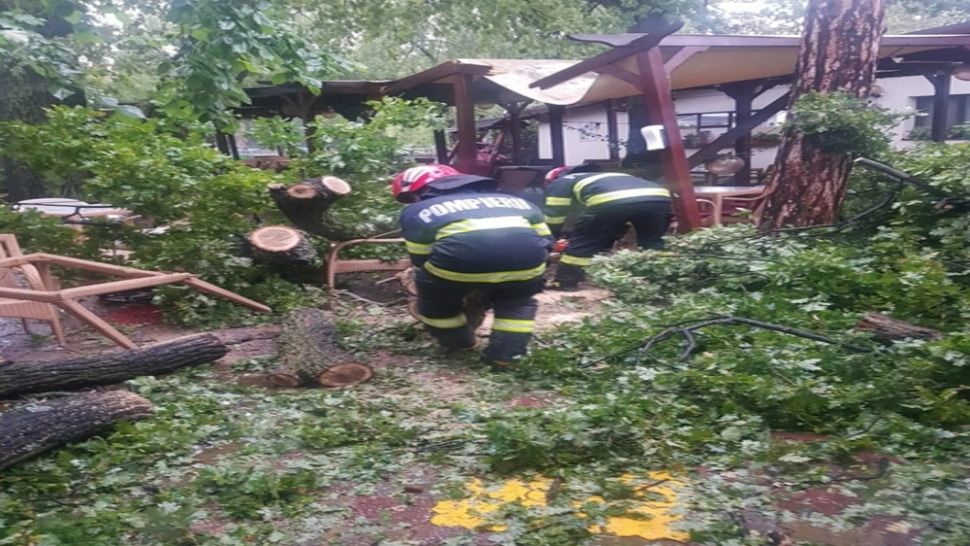 Furtuna a făcut prăpăd în Buzău. Copaci doborâți de vânt, a fost emis mesaj RO-ALERT - VIDEO
