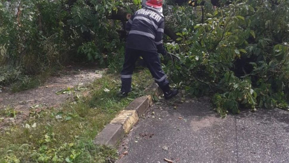 Alimentarea cu electricitate, întreruptă în unele zone din Horezu în urma unei furtuni - VIDEO