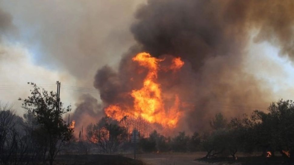 Emmanuel Macron: România va ajuta la stingerea incendiilor din Franța