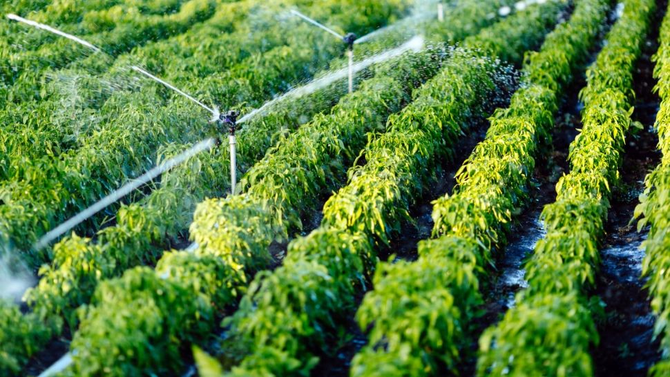 Fermierii din România cer urgent intervenția Guvernului la Bruxelles: PNRR trebuie amendat pentru finanțarea irigațiilor