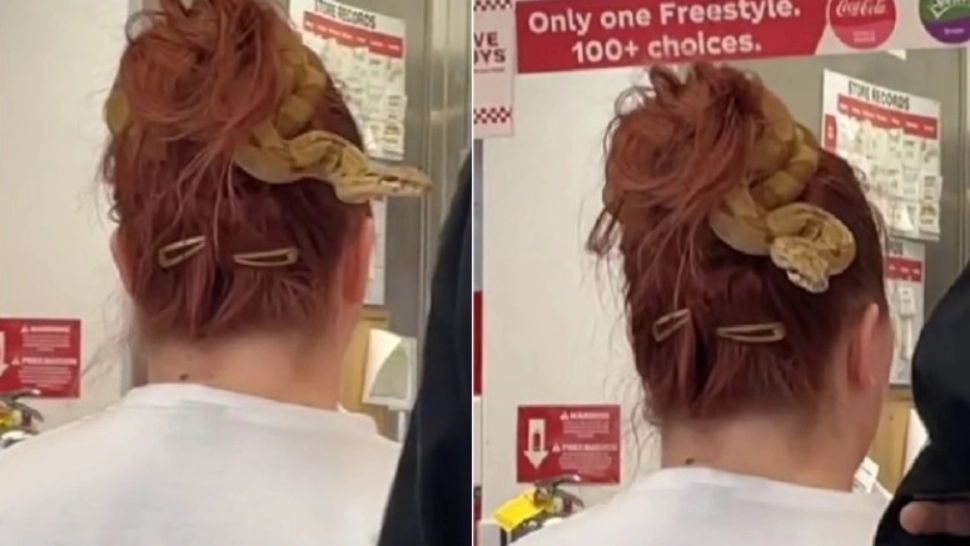 O femeie și-a prins părul cu un șarpe și apoi s-a dus la fast-food. Imaginile au devenit virale - VIDEO