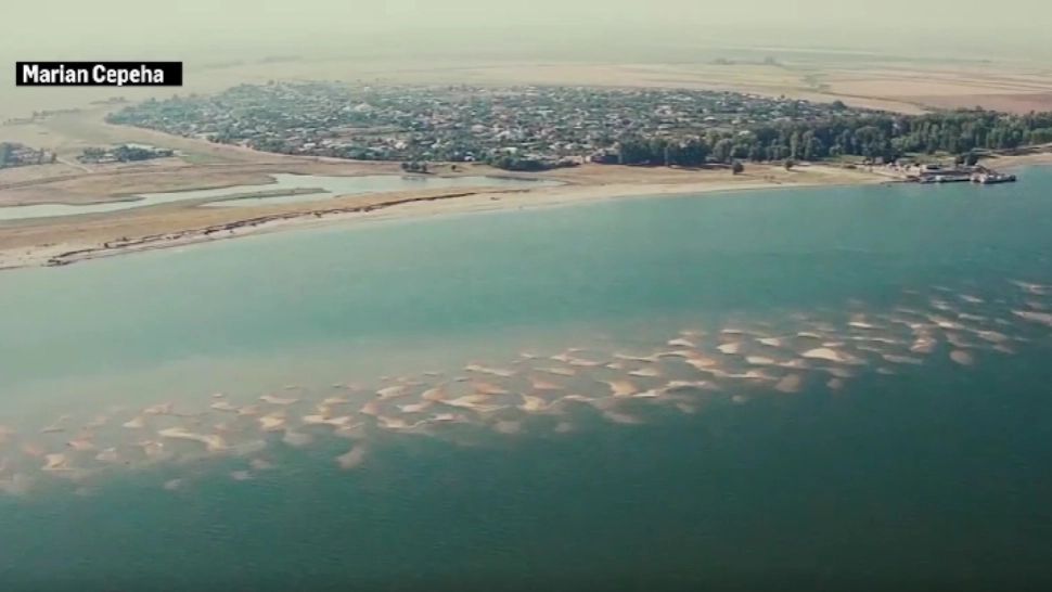 Insula de nisip apărută pe Dunăre, tot mai căutată de turiști: care este principala ATRACȚIE