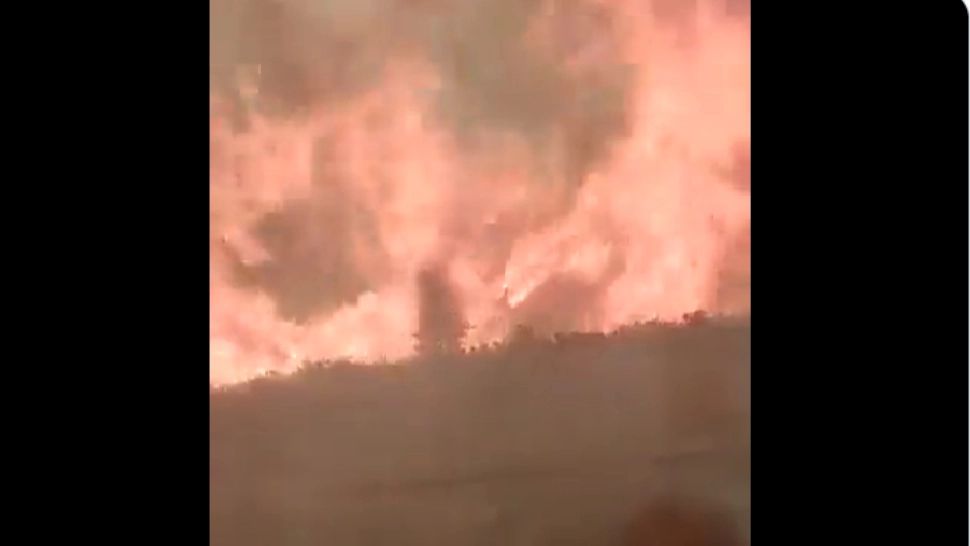 Tren blocat în mijlocul unui incendiu forestier, în Spania! 20 de persoane, printre care și un copil, au suferit arsuri grave - VIDEO