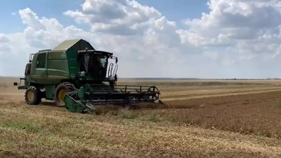 Doi fermieri din Olt își cultivă pământul pe model american. REZULTATELE obținute sunt UIMITOARE