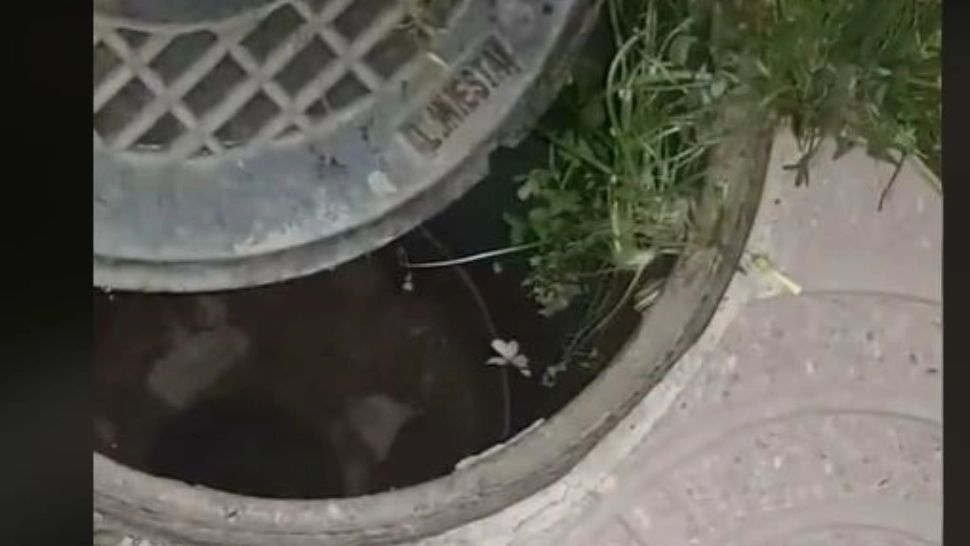 VIDEO – Ce au găsit niște români într-un canal – Se auzeau sunete ciudate și de frică l-au deschis cu un lemn, de la distanță