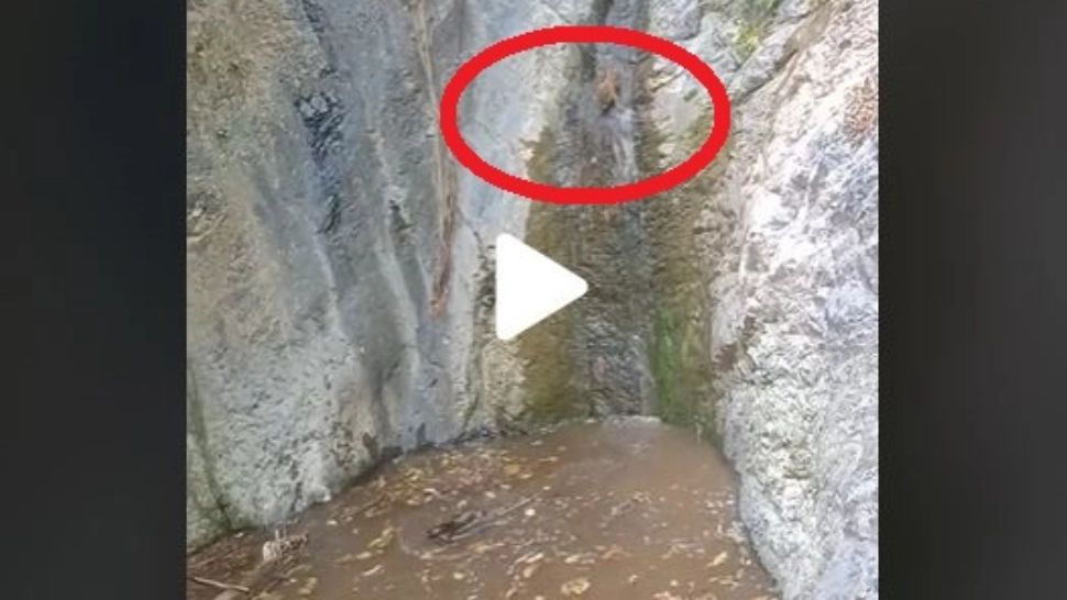 VIDEO – A găsit o cascadă mică pe munte și a auzit zgomote ciudate. Când s-a uitat mai bine nu i-a venit să creadă ce era