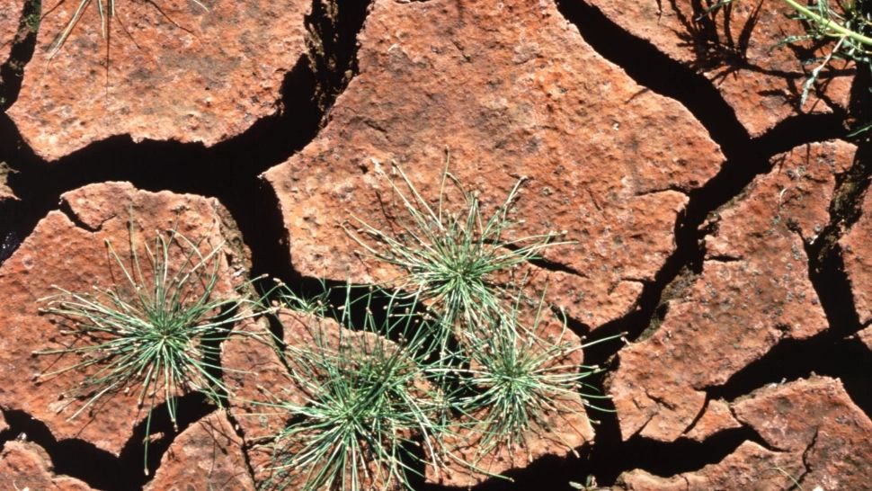 Bruxelles cere urgent refolosirea apei în țările UE: Seceta va afecta jumătate din bazinele hidrografice până în 2030