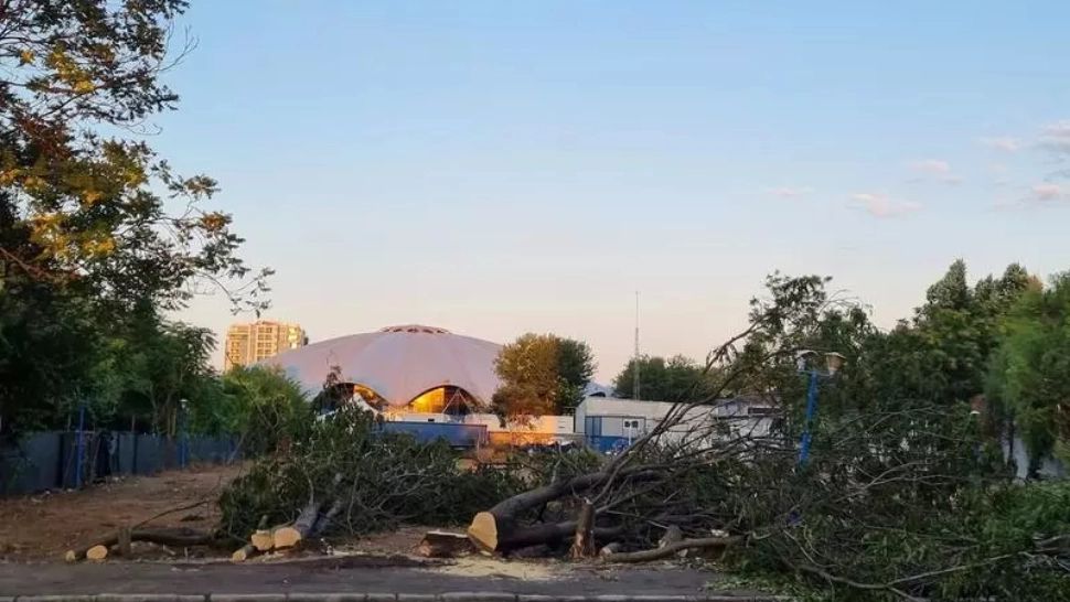 Scandal în sectorul condus de Clotilde Armand, defrișări pe 6 hectare