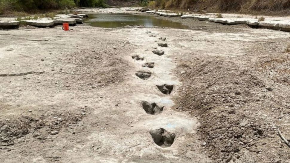Urme de dinozaur vechi de 113 milioane de ani, descoperite după ce un râu a secat din cauza secetei - FOTO