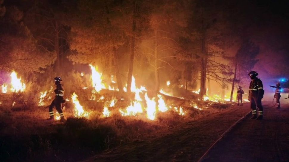 Incendiu de pădure în Germania, după o explozie la un depozit de muniție - FOTO