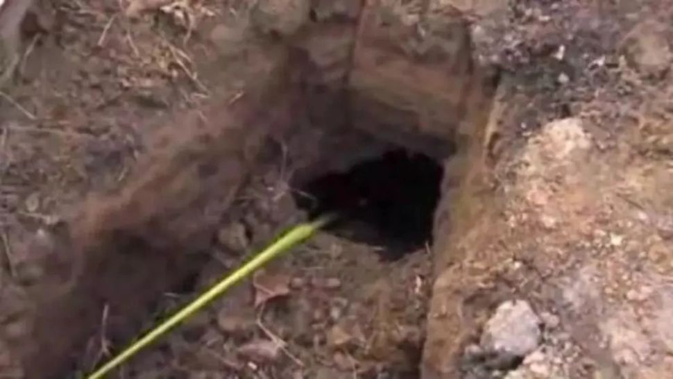 Au găsit o gaură în curtea casei. Se auzeau sunete de acolo. Au ÎNGHEŢAT când au văzut cine a ieşit