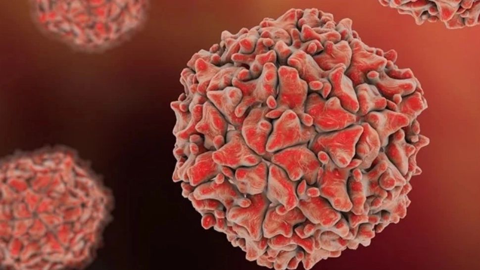 RISCUL reapariției poliomielitei în România: Rata de vaccinare, mult sub 85% - Cât de periculoasă e boala