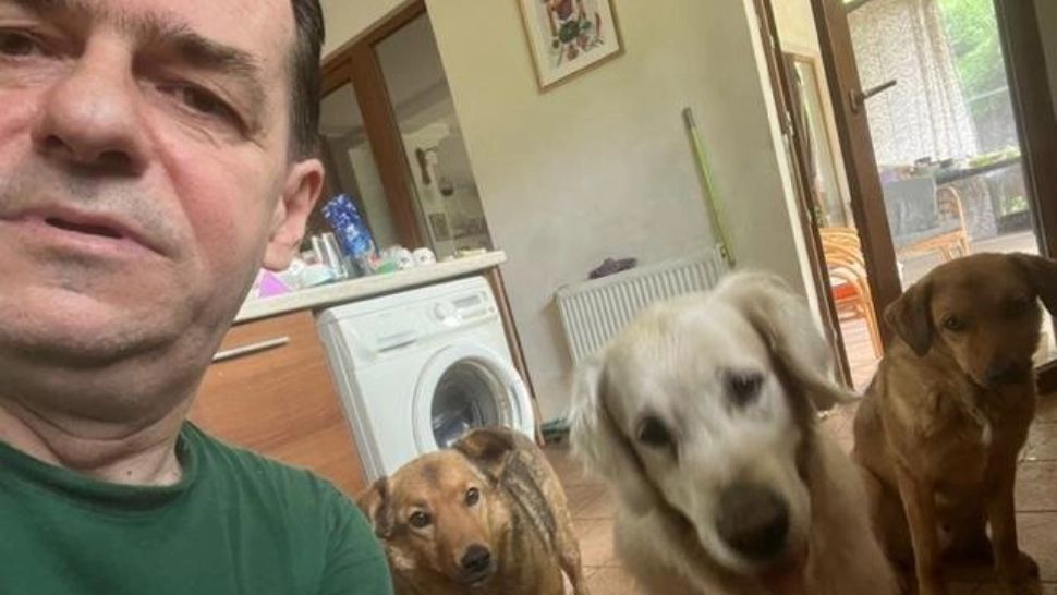 Ludovic Orban a răbufnit împotriva foștilor colegi după ce CĂȚELUL Toby a fost luat de la sediul PNL