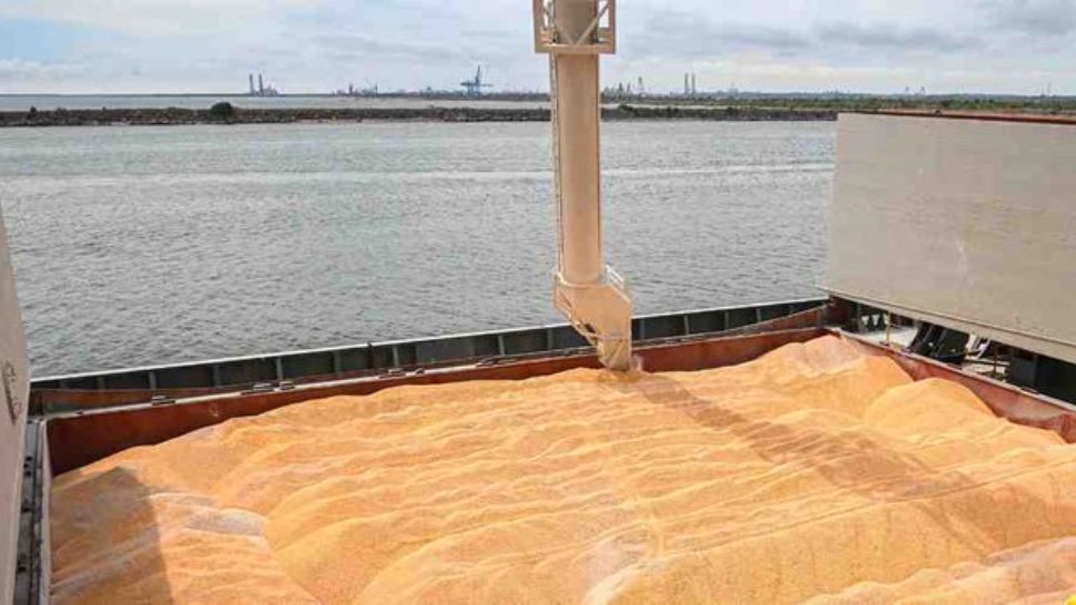 Război Ucraina - Alte 2 nave încărcate cu cereale au părăsit Ucraina, din porturile de la Marea Neagră