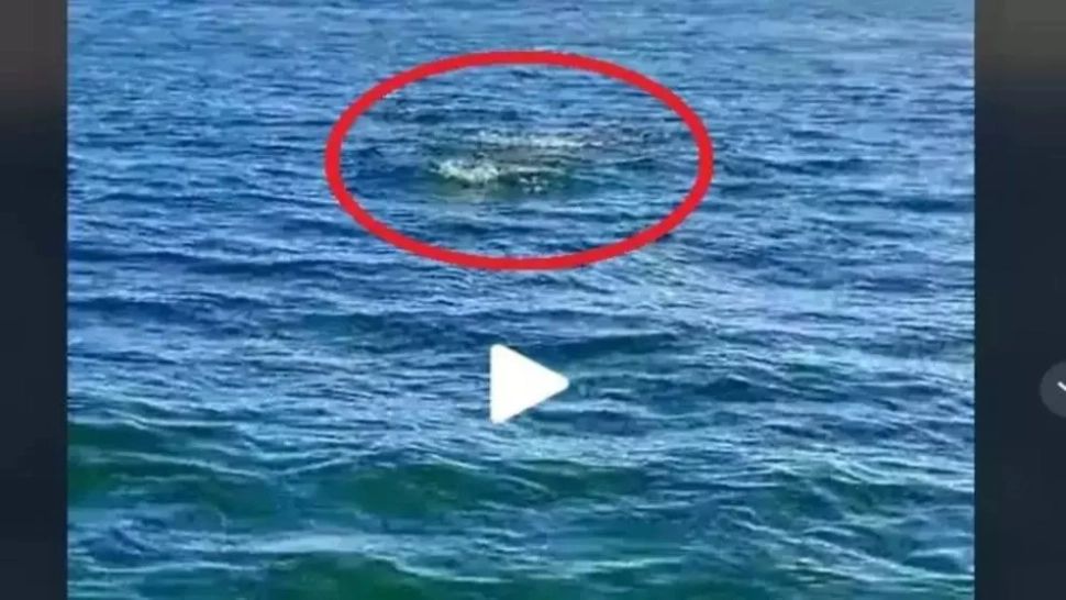 VIDEO – Ce au filmat oamenii de pe o ambarcațiune din Marea Neagră – Imaginile virale pe internet