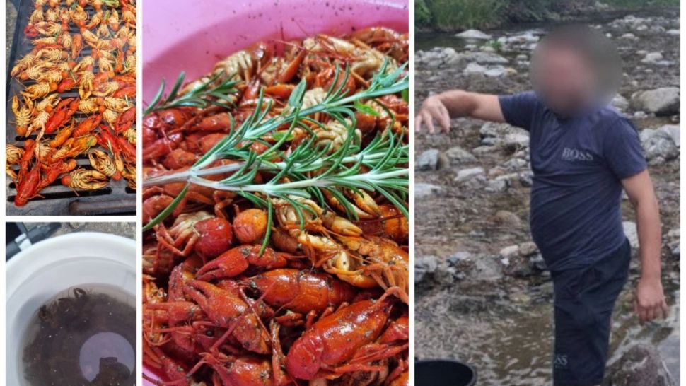 4 tineri s-au ales cu dosare penale după ce s-au filmat pescuind raci dintr-o specie protejată