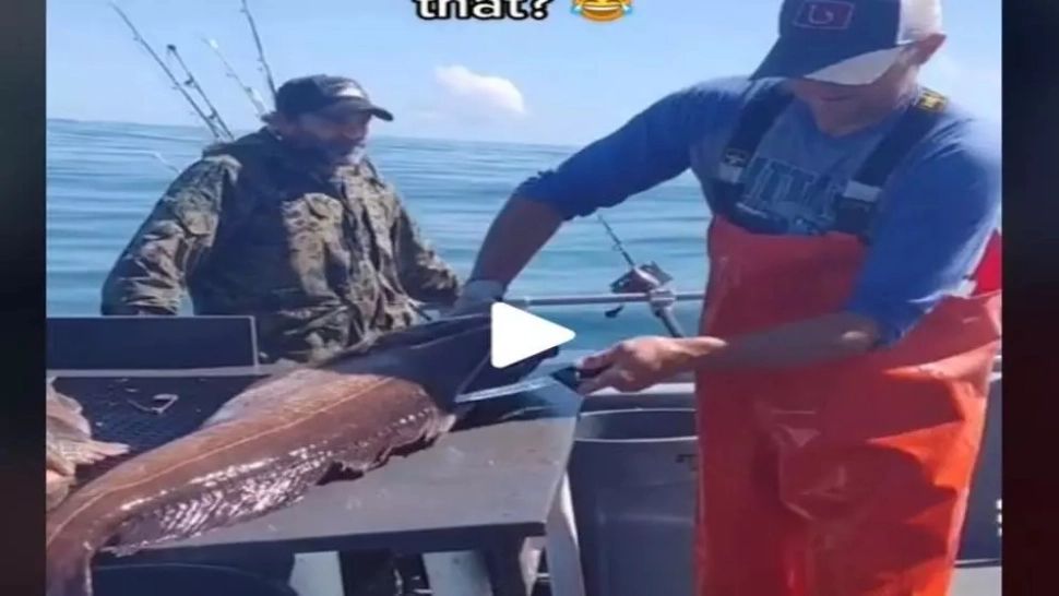 VIDEO – A despicat peștele și a găsit ceva incredibil în burta sa. Se afla acolo de ani de zile