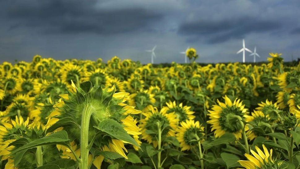 Cod galben de fenomene EXTREME. Zonele lovite puternic de vijelii și grindină - HARTA actualizată. Când revine canicula