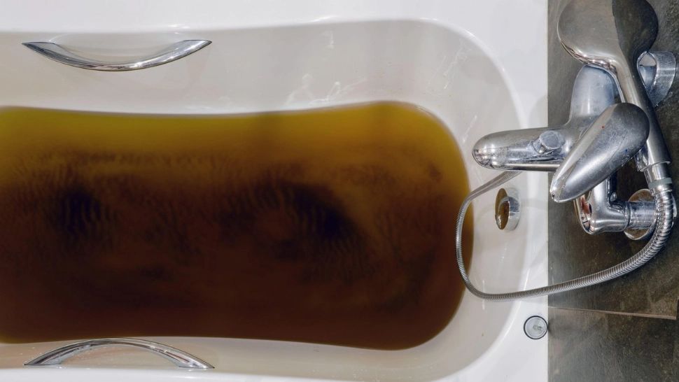 Ghid de vremuri grele pentru nemți: Mai puține DUȘURI, mai puțină CARNE