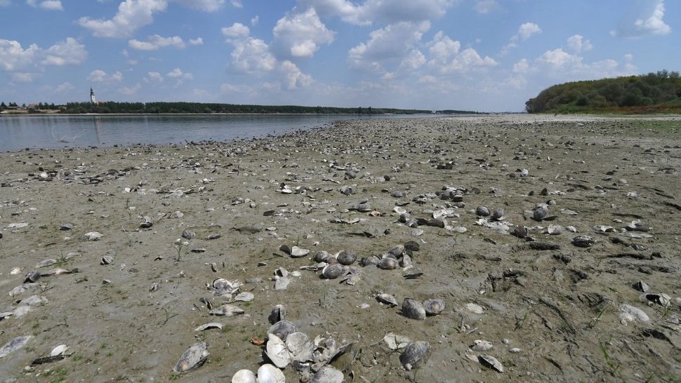 Sute de vase blocate pe Dunăre, din cauza nivelului foarte scăzut al apei