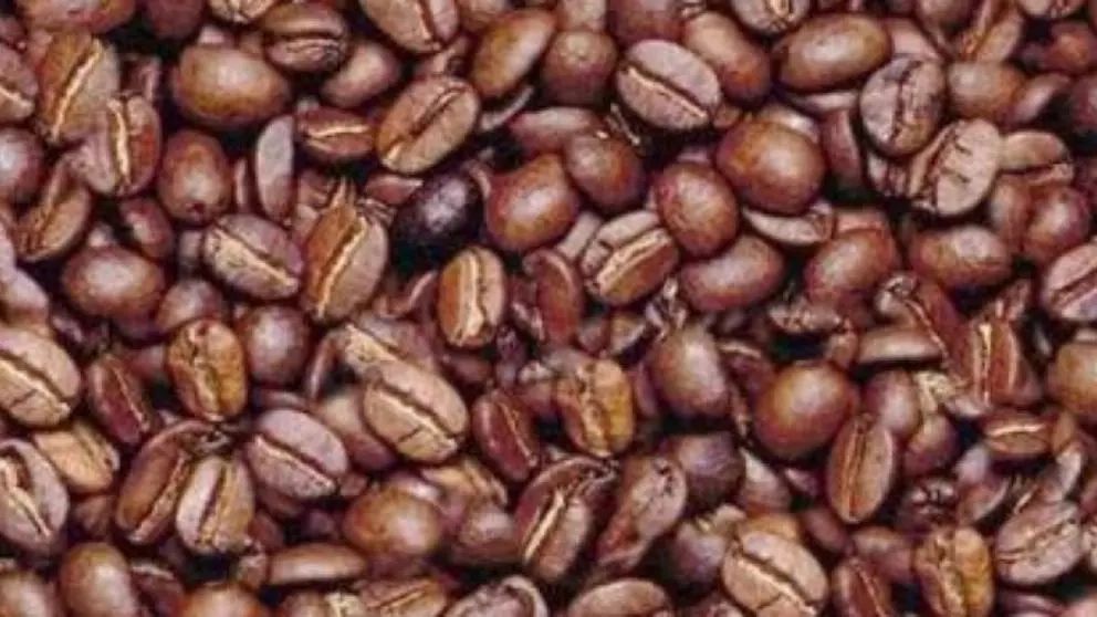 Dacă găsești chipul unui bărbat în această imagine în 3 secunde, ai un IQ peste medie. Testul oamenilor inteligenți