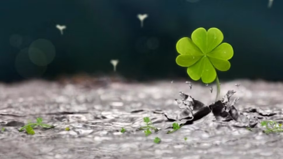 Horoscop septembrie 2022. Zodia care trage lozul câștigător. Începe să simtă puterea banilor. Schimbări radicale