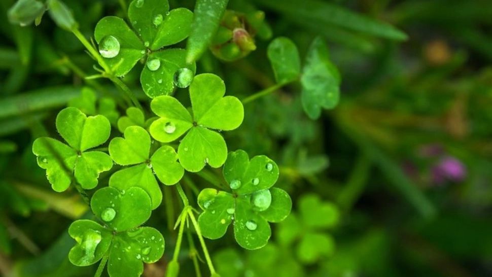 Cele 3 zodii care se îmbogățesc sigur în următorii 3 ani. Vor avea lumea la picioare - câștiguri fabuloase!