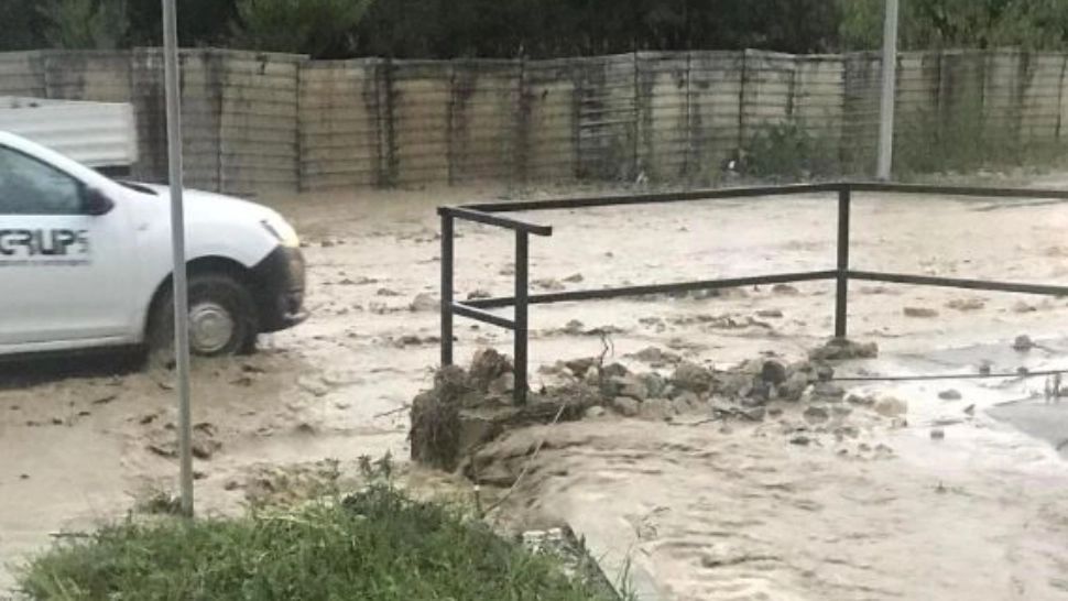 Vremea extremă face RAVAGII în România: copaci căzuți, locuințe inundate și cabluri de curent avariate