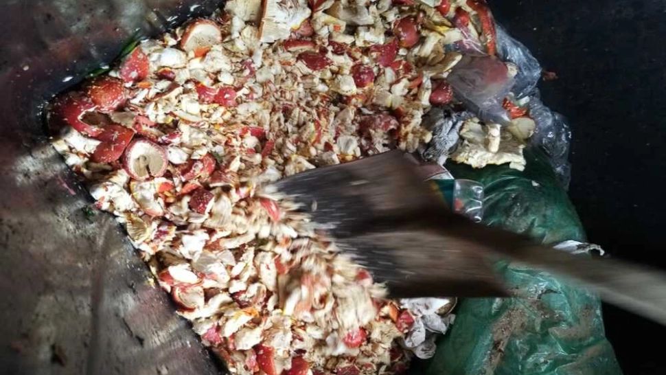 Ciuperci cu risc pentru consumatori, scoase la vânzare într-o piață din Alba Iulia! Marfa, confiscată și distrusă de reprezentanții DSVSA 