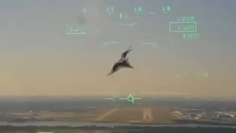 Cum s-a prăbușit un avion militar al Marinei SUA în Texas după ce a fost lovit de o pasăre - Momentul impactului