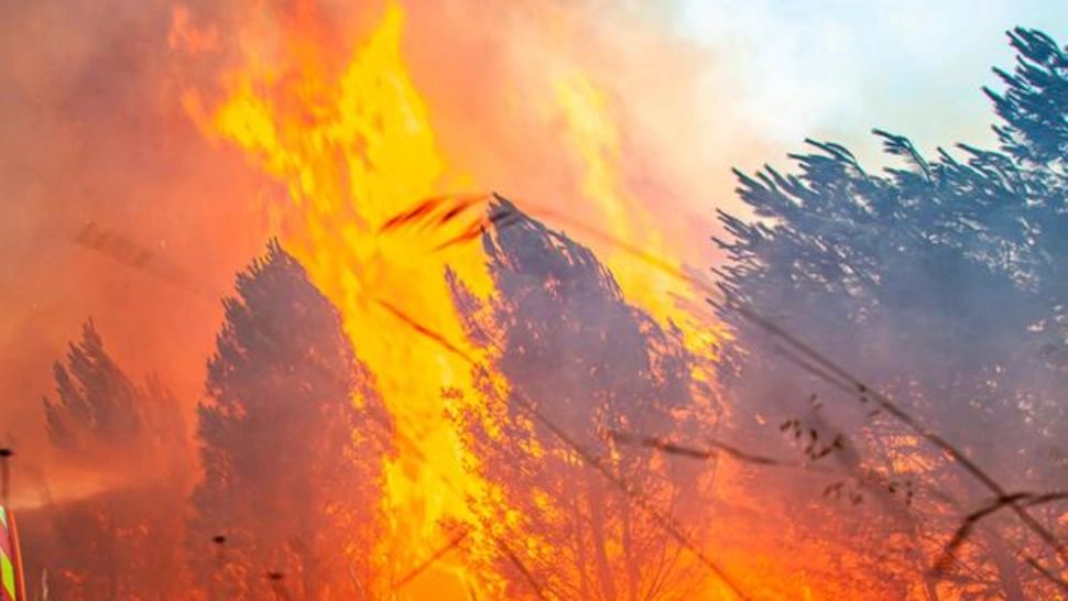 Furtunile de foc fac ravagii în Franța și Spania - SUTE de oameni au fost evacuați din calea flăcărilor - HARTA