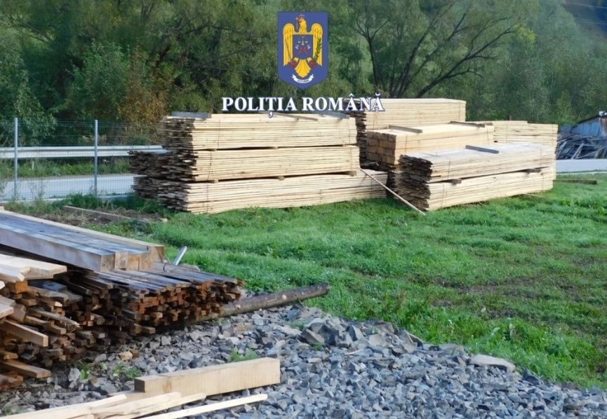 Hoții de lemn din pădurile României sunt opriți doar cu focuri de armă