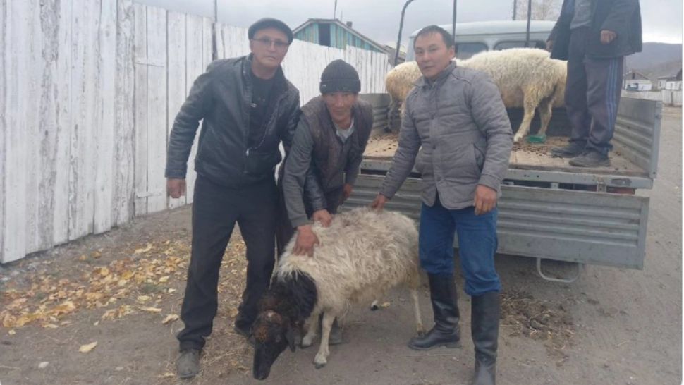 Familiile recruților luați la război, RĂSPLĂTITE de Putin. Analist militar: "O oaie în schimbul unui recrut pare un schimb corect"