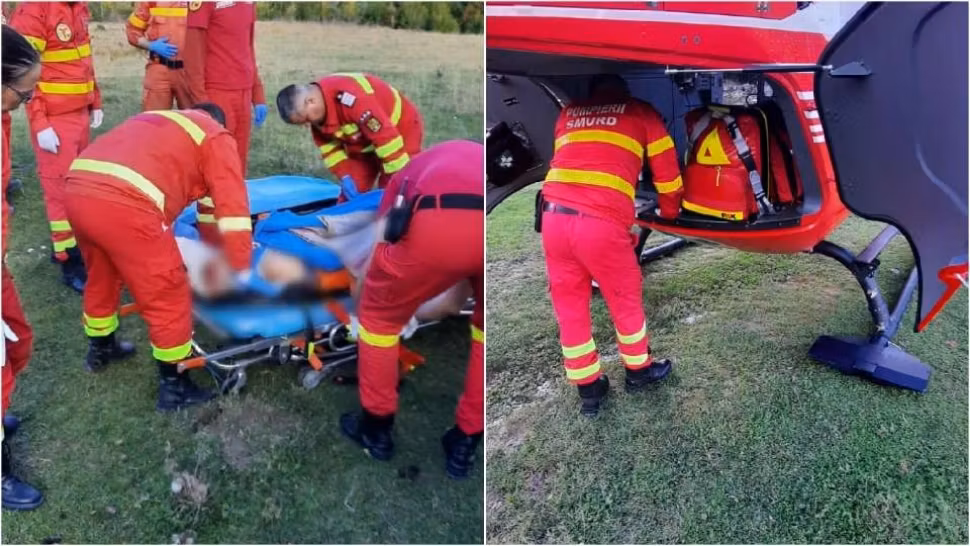 Bărbat de 72 de ani, în stare gravă la spital. A căzut peste el de copacul pe care îl tăia (VIDEO)