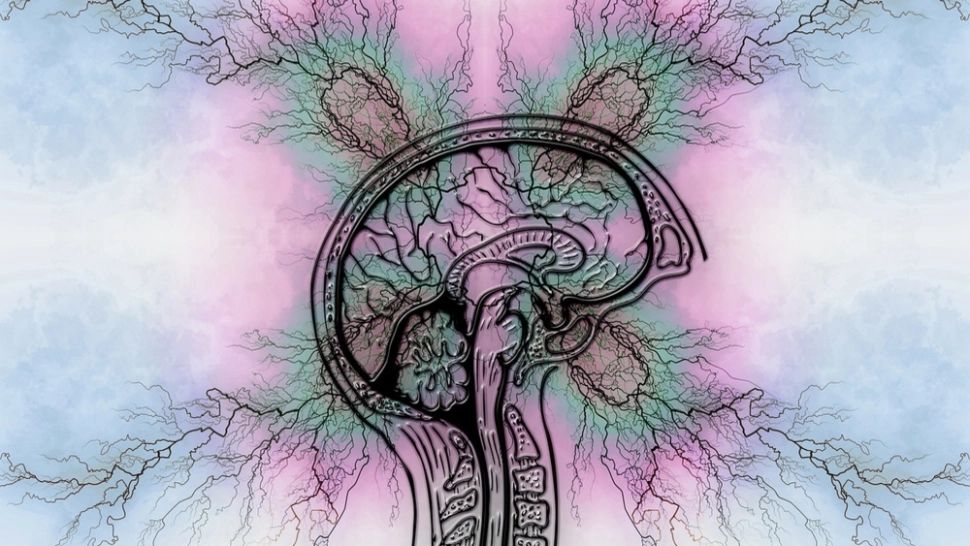 Adulții cu ADHD au risc mai mare de a dezvolta o serie de boli cardiovasculare