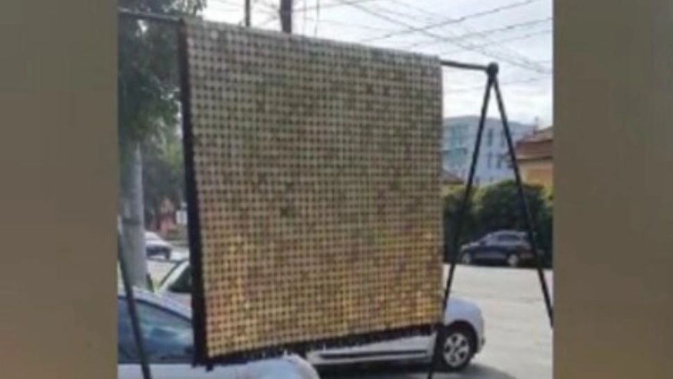 Un covor pe care erau prinse 3.000 de monede de 50 de bani a fost furat la Timișoara. Opera de artă, expusă pe stradă