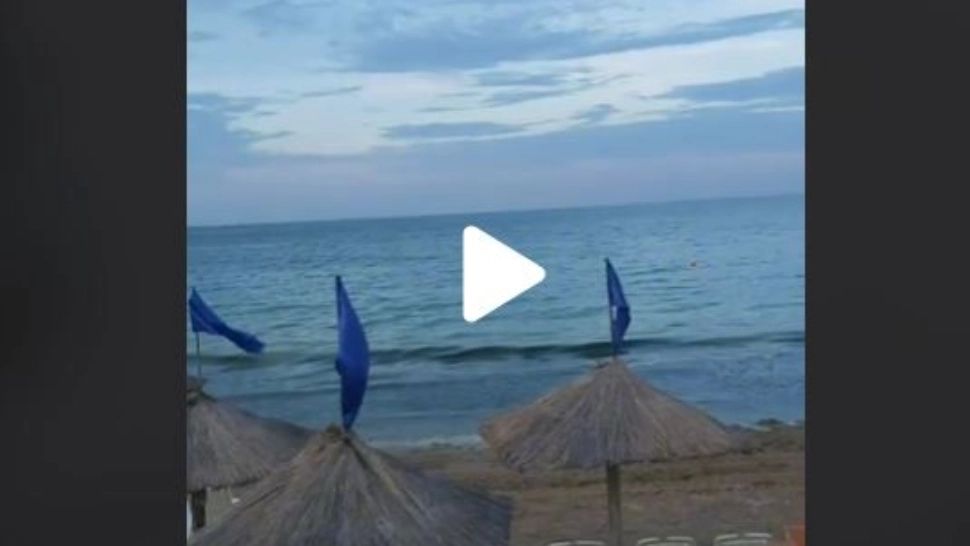 VIDEO – Ce a putut să găsească un turist la Eforie Sud, pe acoperișul unei umbrele de pe plajă