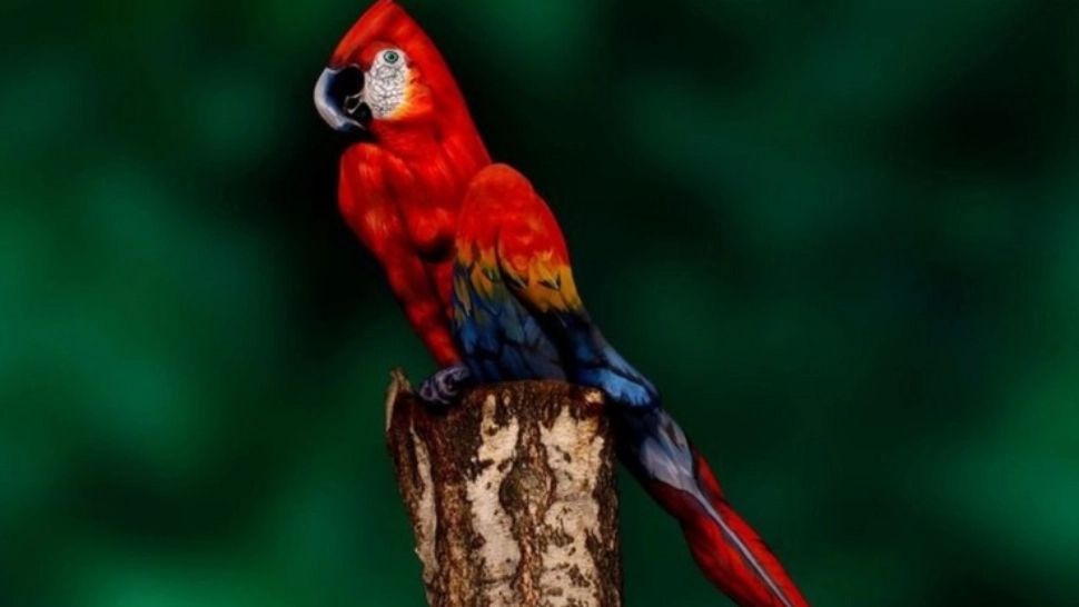 Iluzia optică perfectă: tu descoperi femeia ascunsă în doar 5 secunde?