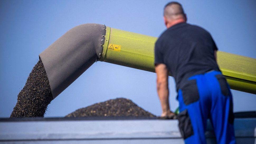 SCANDAL de proporții, în Republica Moldova. Cel mai mare producător și exportator de ulei de floarea soarelui, acuzat că „implementează agenda Rusiei”