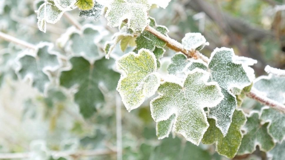 Prognoza meteo pe două săptămâni. Ploi, lapoviță și ninsoare: temperaturile scad la limita înghețului  
