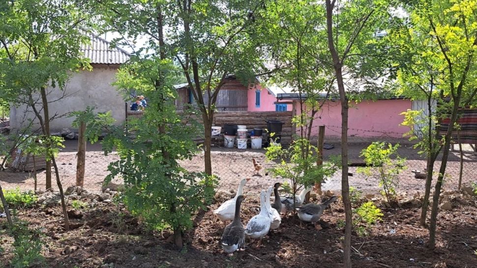 Se întâmplă în România - Case date gratis pentru familiile cu mulți copii - Soluția inedită a unui primar