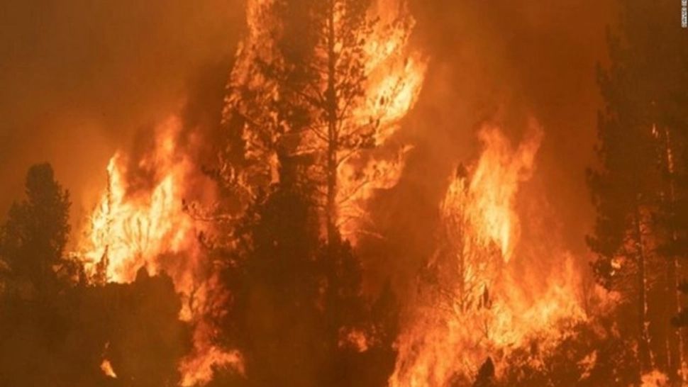 Incendiu de proporții în Turcia. Un elicopter s-a prăbușit în timpul intervenției - VIDEO