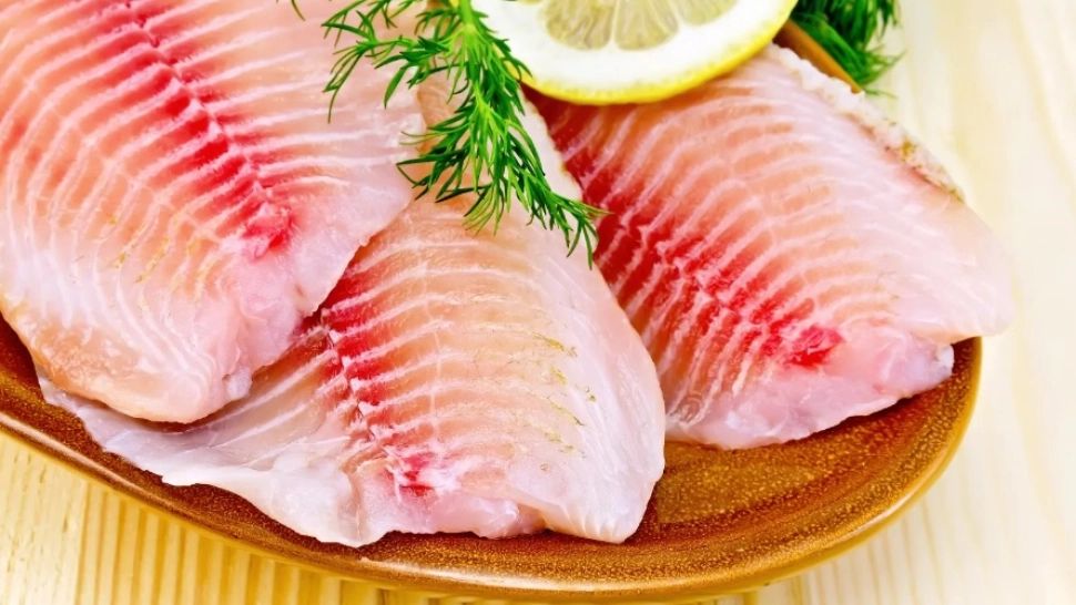 Tipul de pește care distruge sănătatea românilor - ar trebui scos din alimentație 