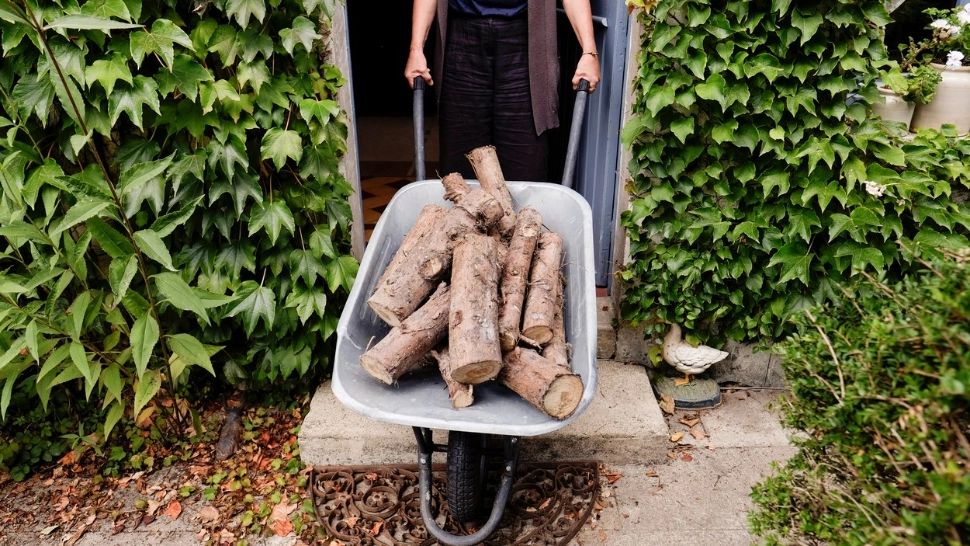 Prețul lemnelor, PLAFONAT la 400 de lei pe metru cub, în loc de 500. Modificare de ultim moment