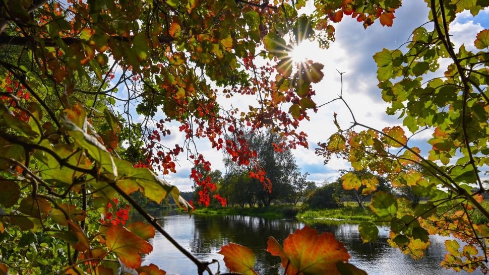 Final de toamnă cu vreme frumoasă și caldă. Prognoza meteo pentru următoarele două săptămâni