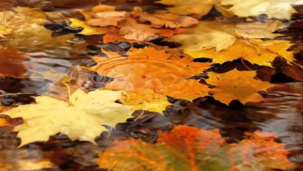 Prognoza pe o lună - temperaturile scad brusc, în septembrie. Vremea intră într-un proces de răcire accentuată